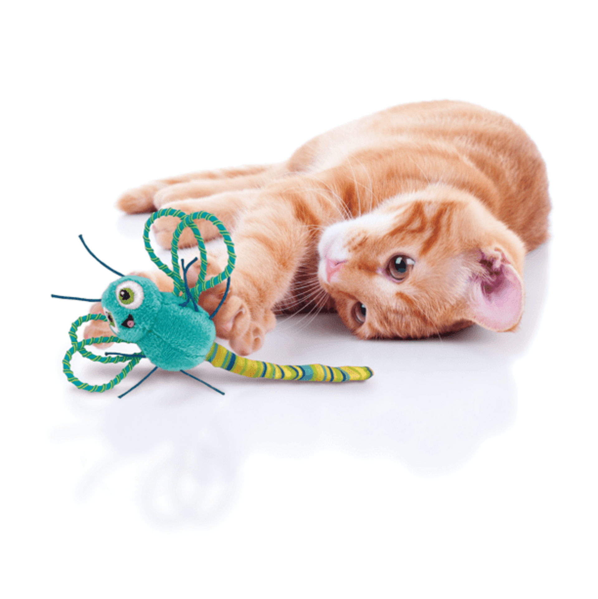 Kong Flingardo Dragonfly Assorted - 1