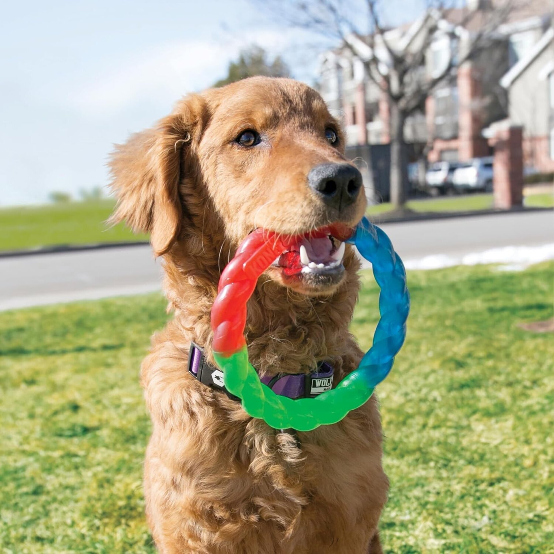 Kong Ring Twistz - 4