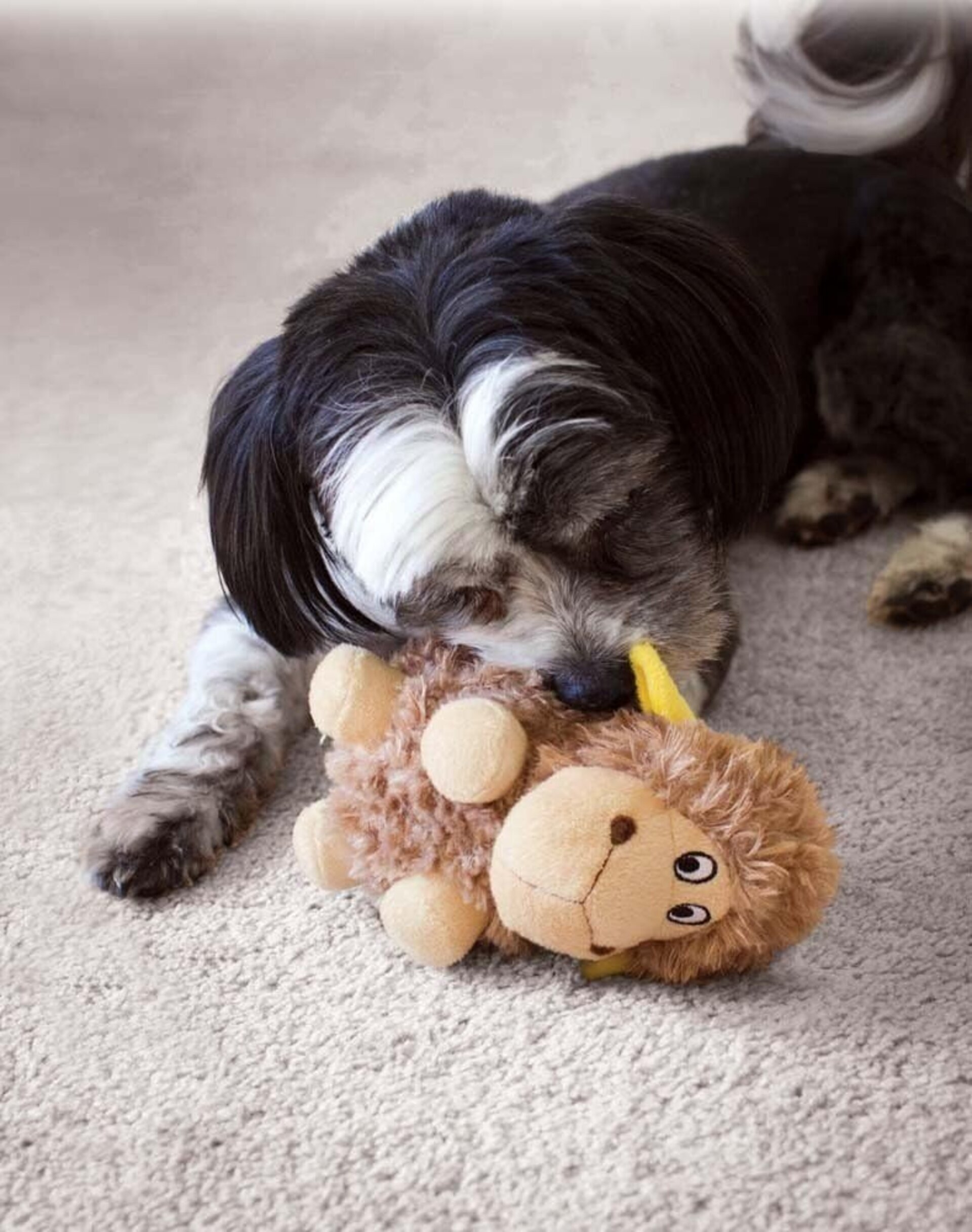 Peluche Kong Cruncheez Sheep Oveja - 4