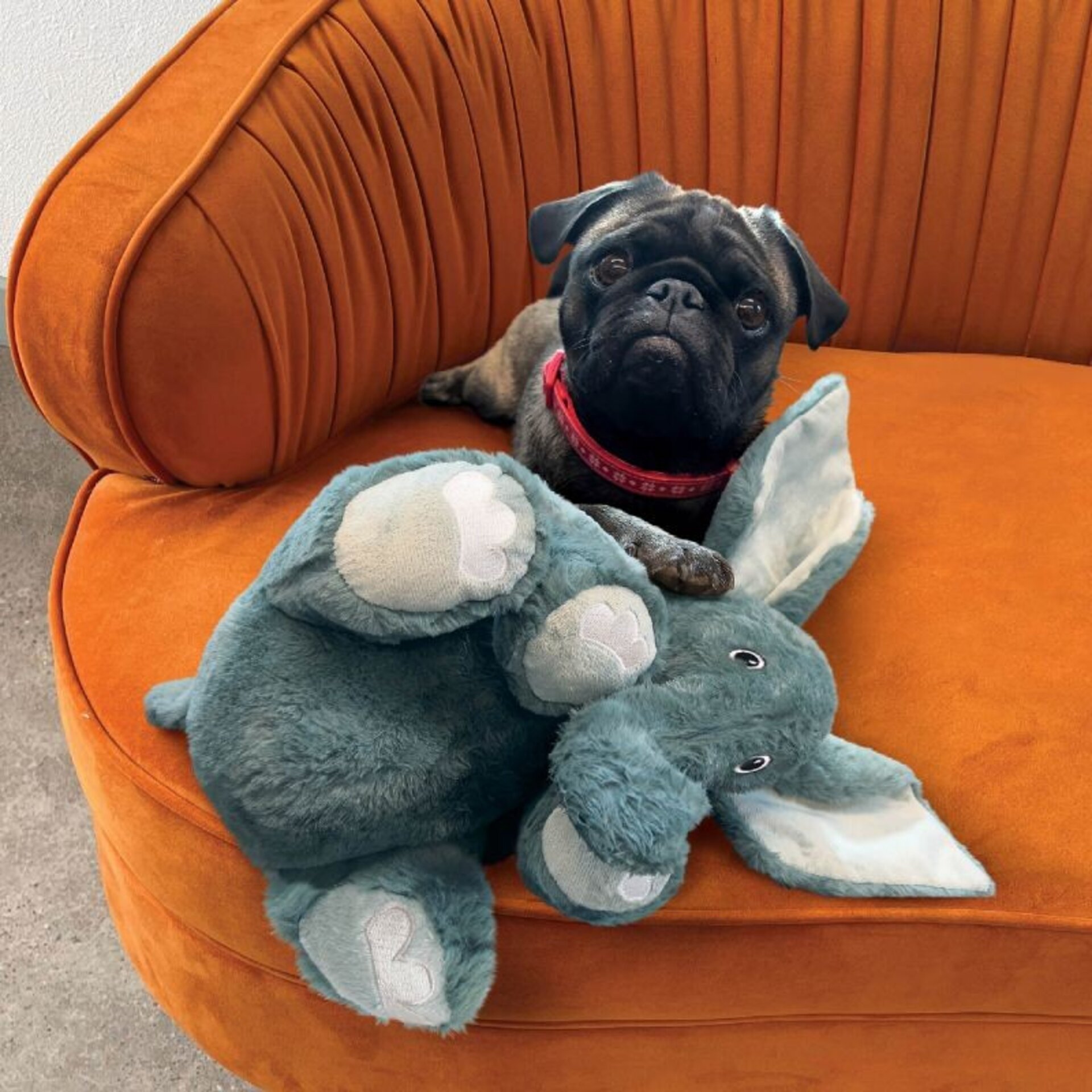 Peluche Kong Comfort Kiddos Elefante - 2