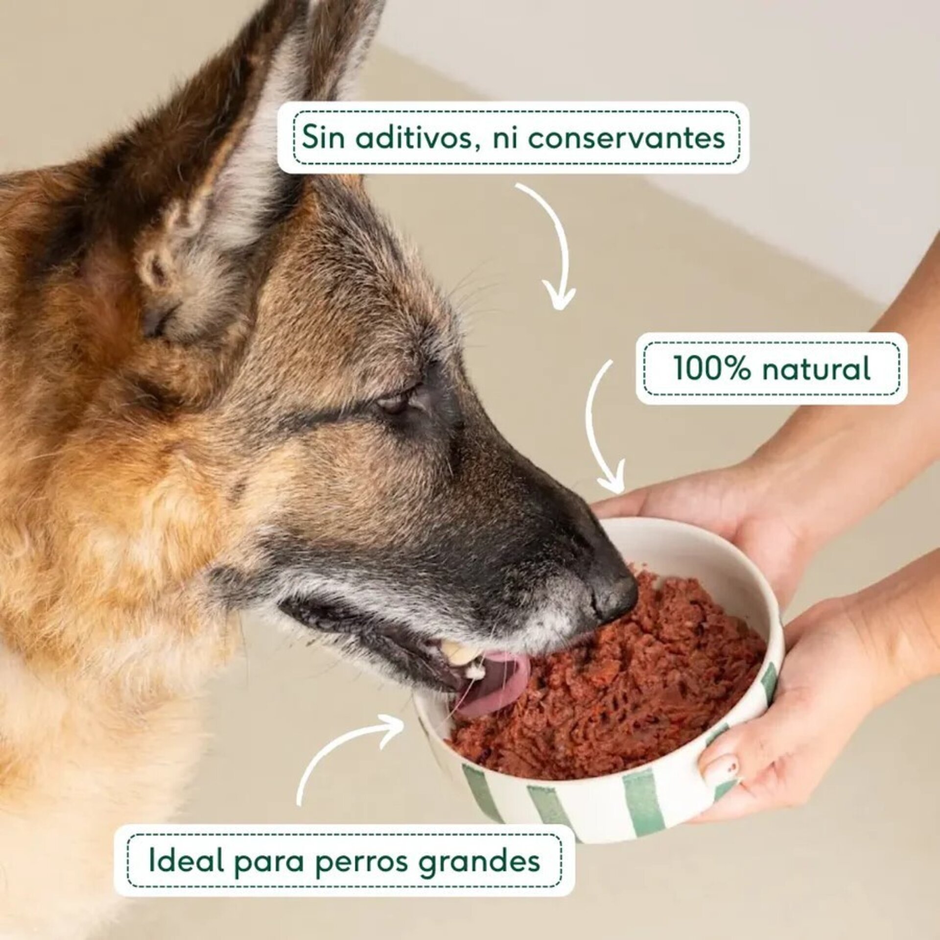 Wild Balance Menú BARF GRANDE De Pavo Con Verduras - 4