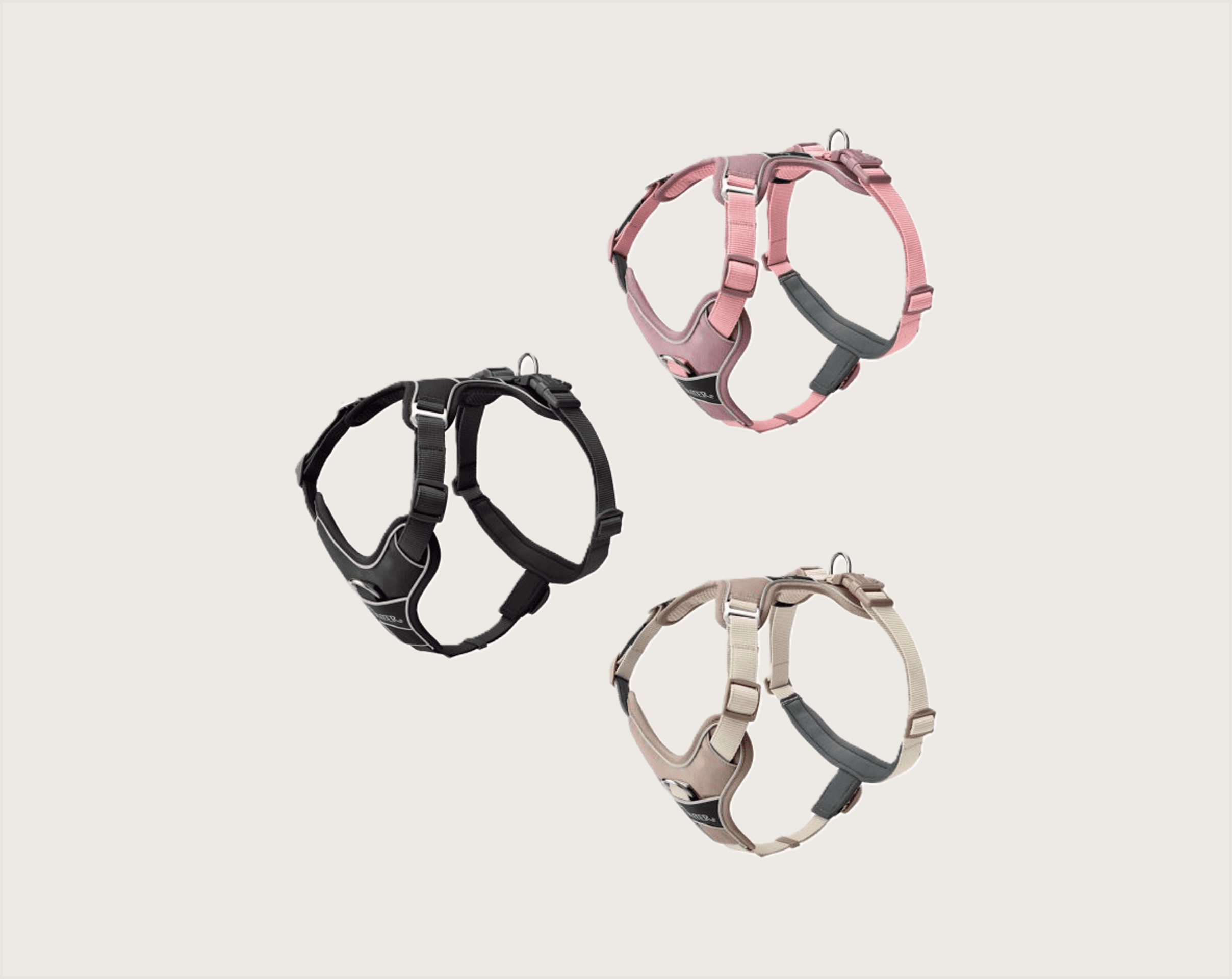 Hunter Arnés Divo - 1