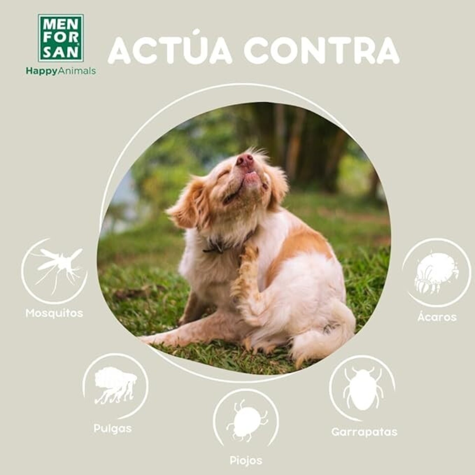 Insecticida Perros Men For San - 4