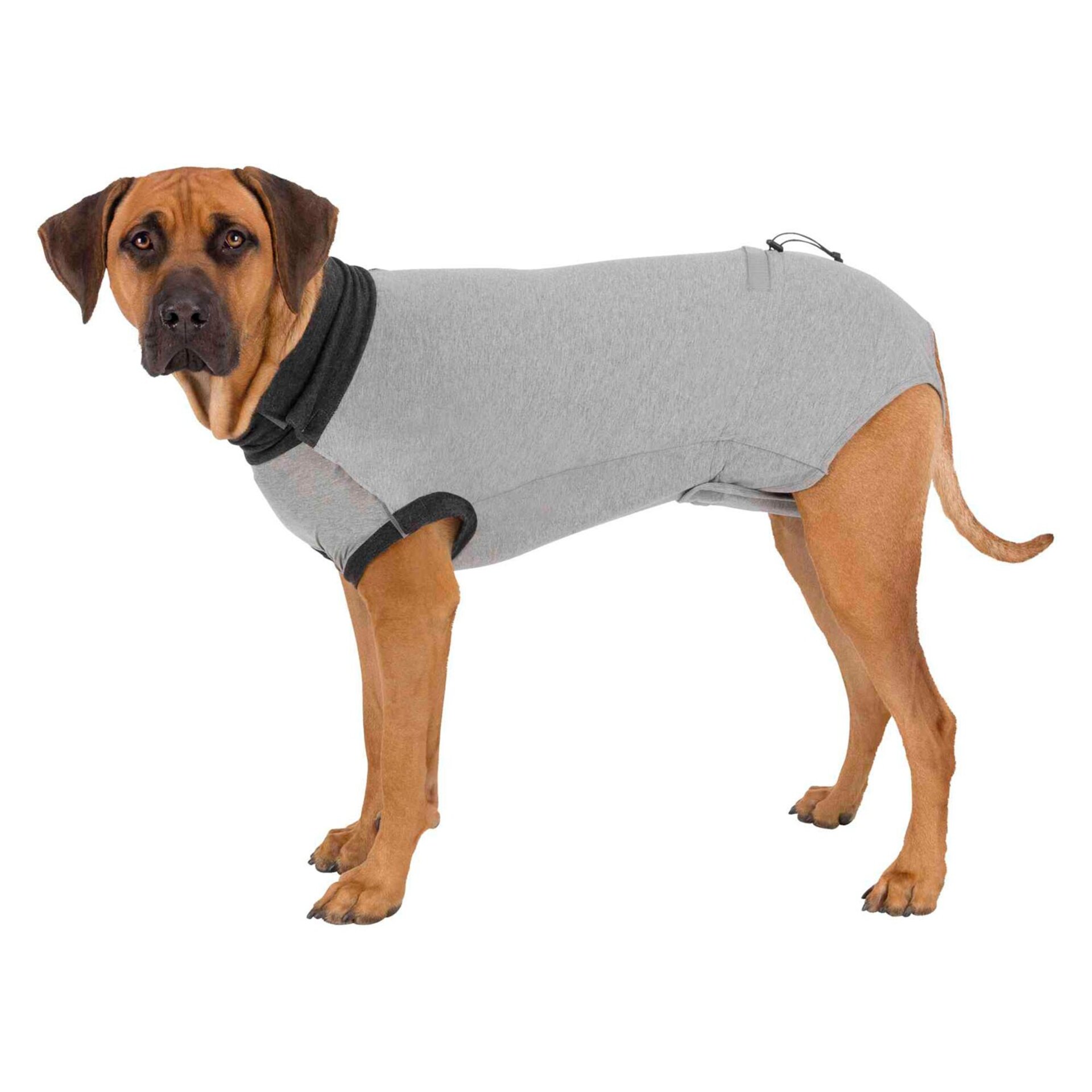 Body Protector - 3