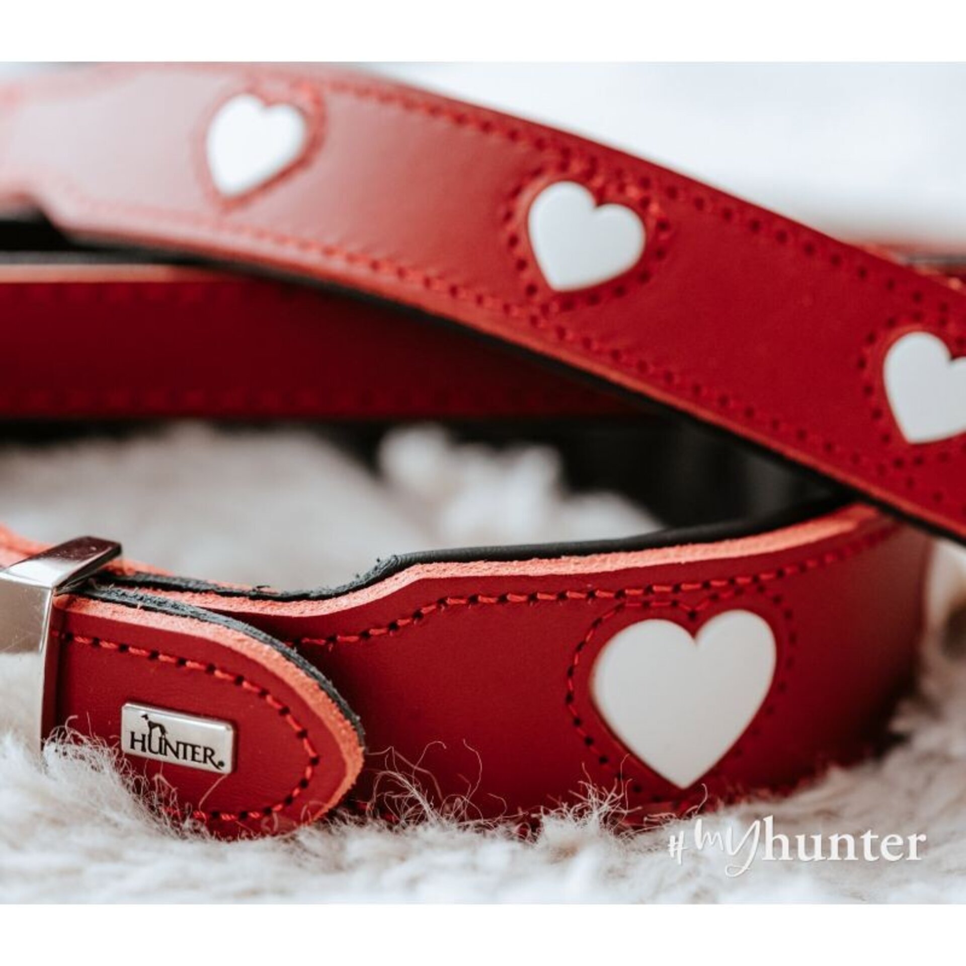 Collar Love Hunter - 4