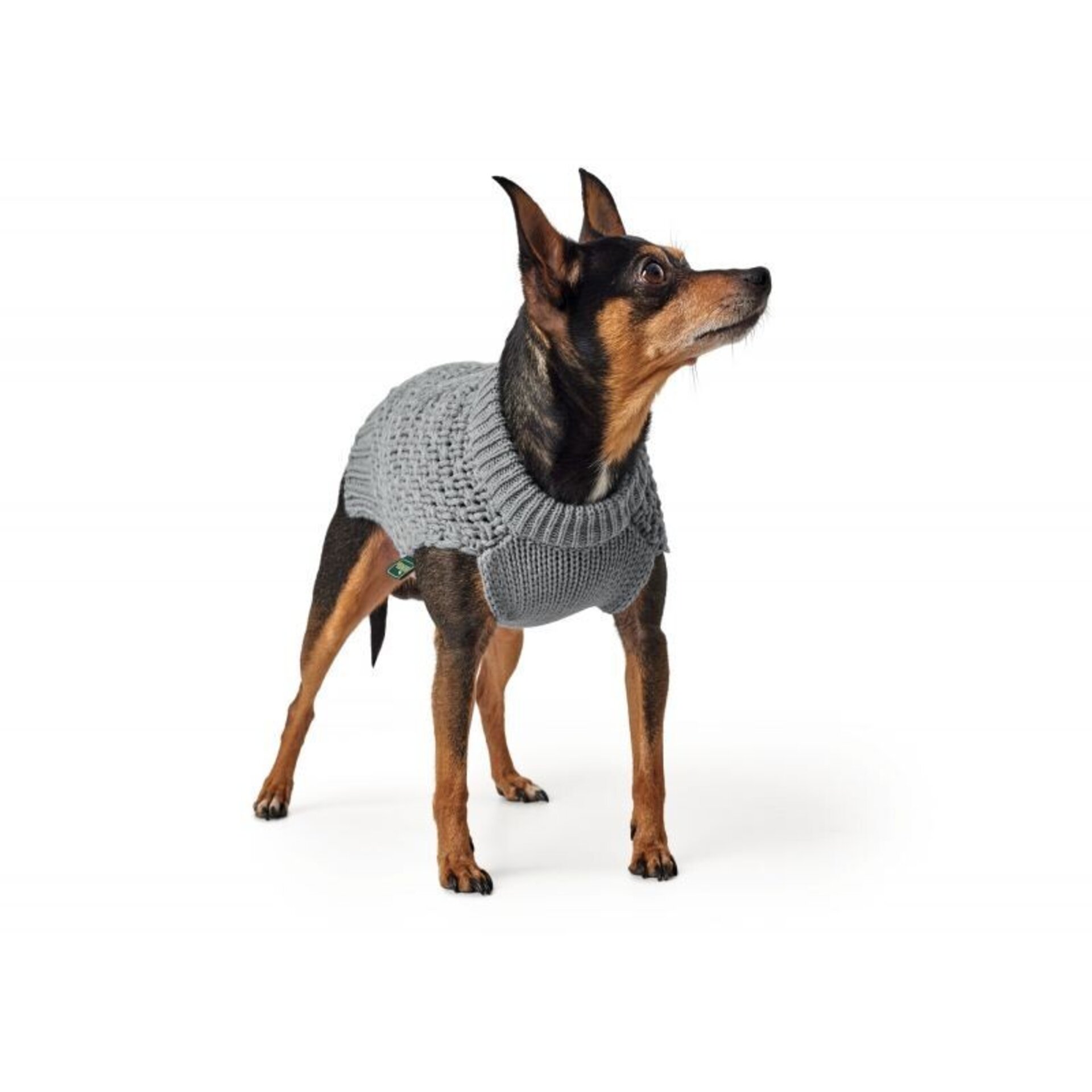 Pullover Dog Malmo Hunter - 9