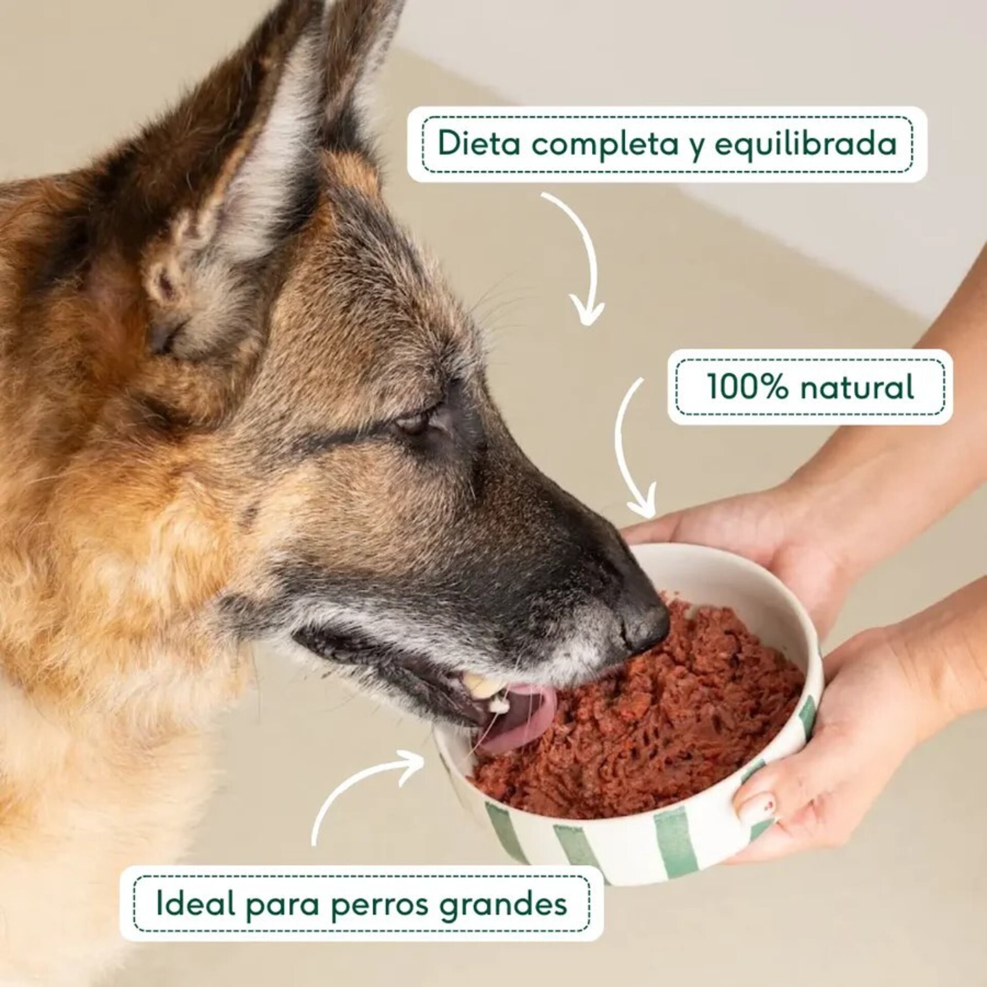 Wild Balance Menú BARF GRANDE De Pollo Con Verduras - 5