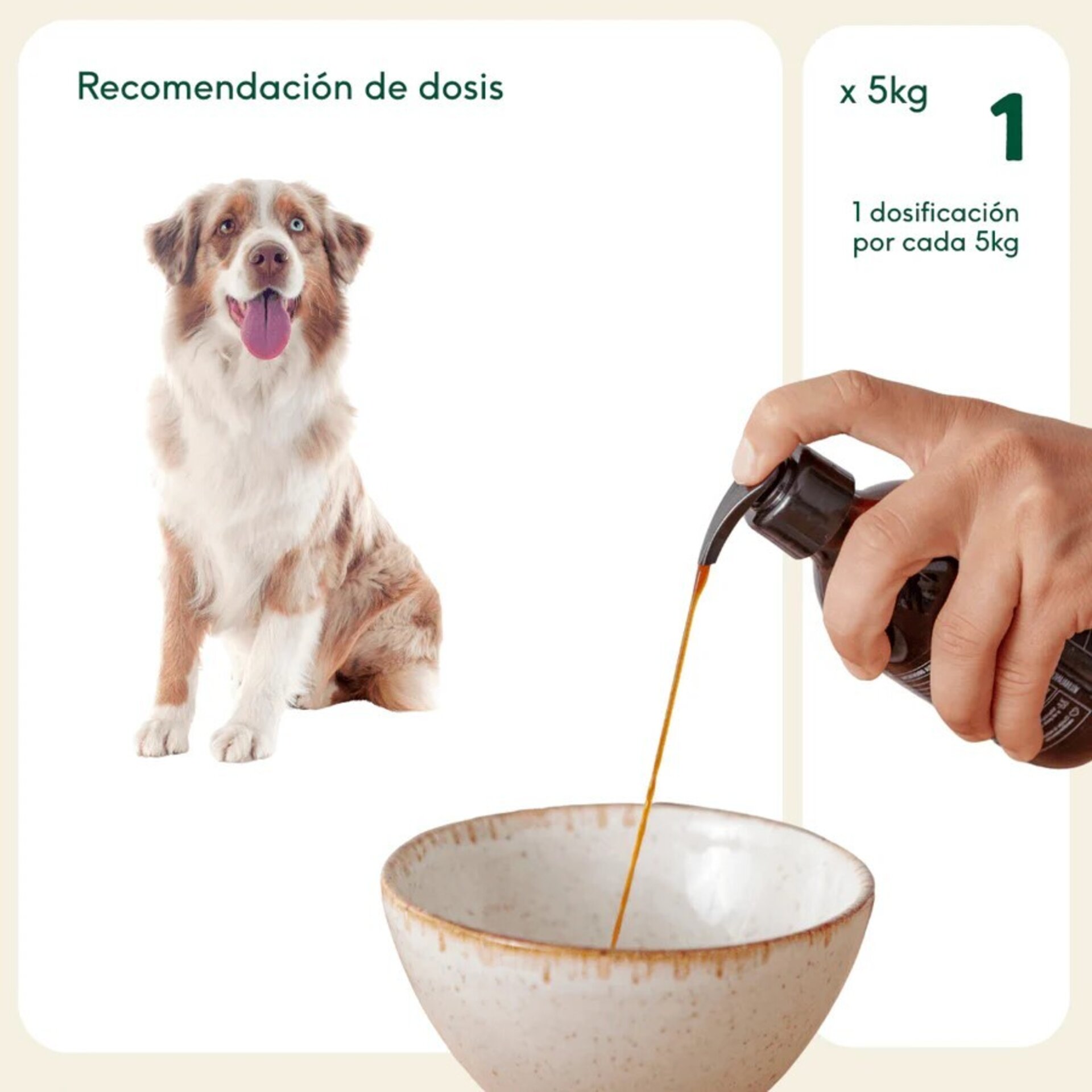 Wild Balance Aceite de Salmón Noruego (Perros y Gatos) - 4