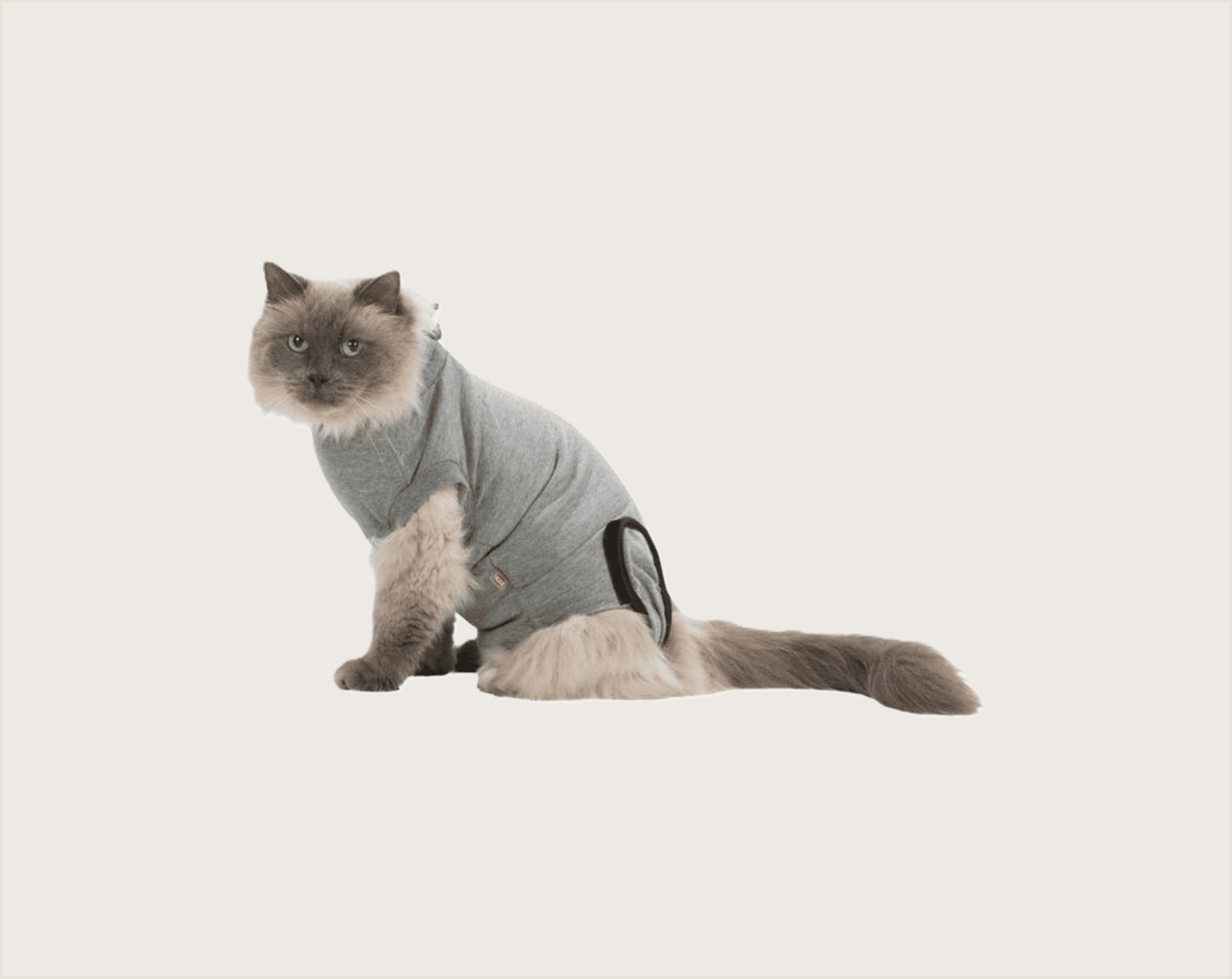 Trixie Body Protector para Gatos Post Cirugía - 1