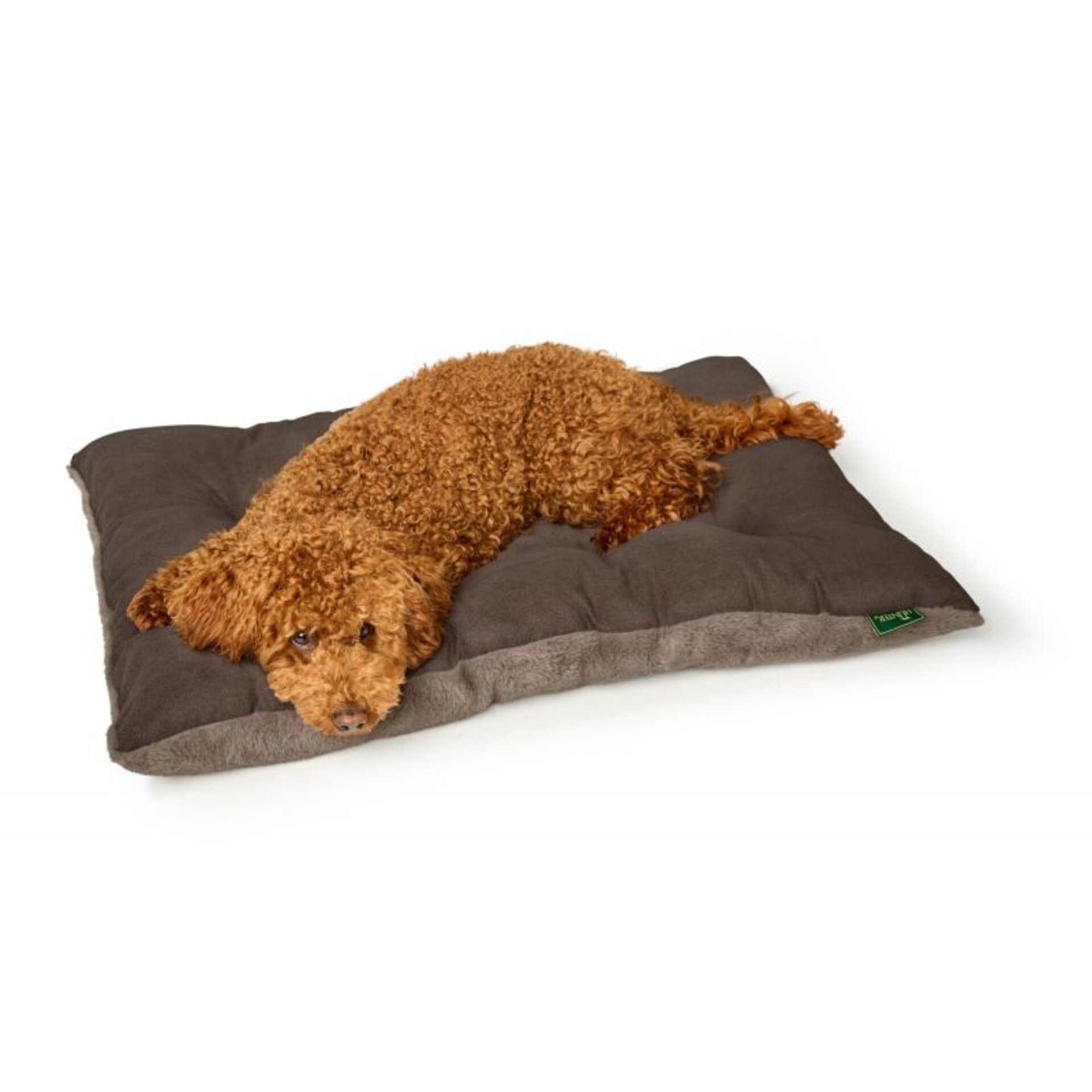 Cojin Rockford Hunter - 2