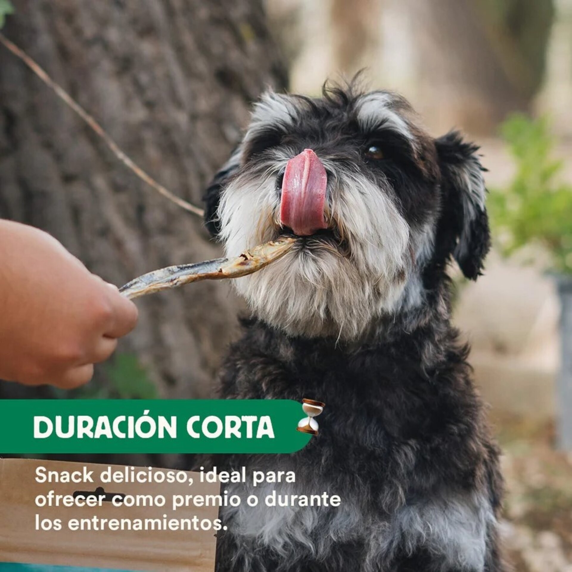 Wild Balance Boquerones Deshidratados - 3