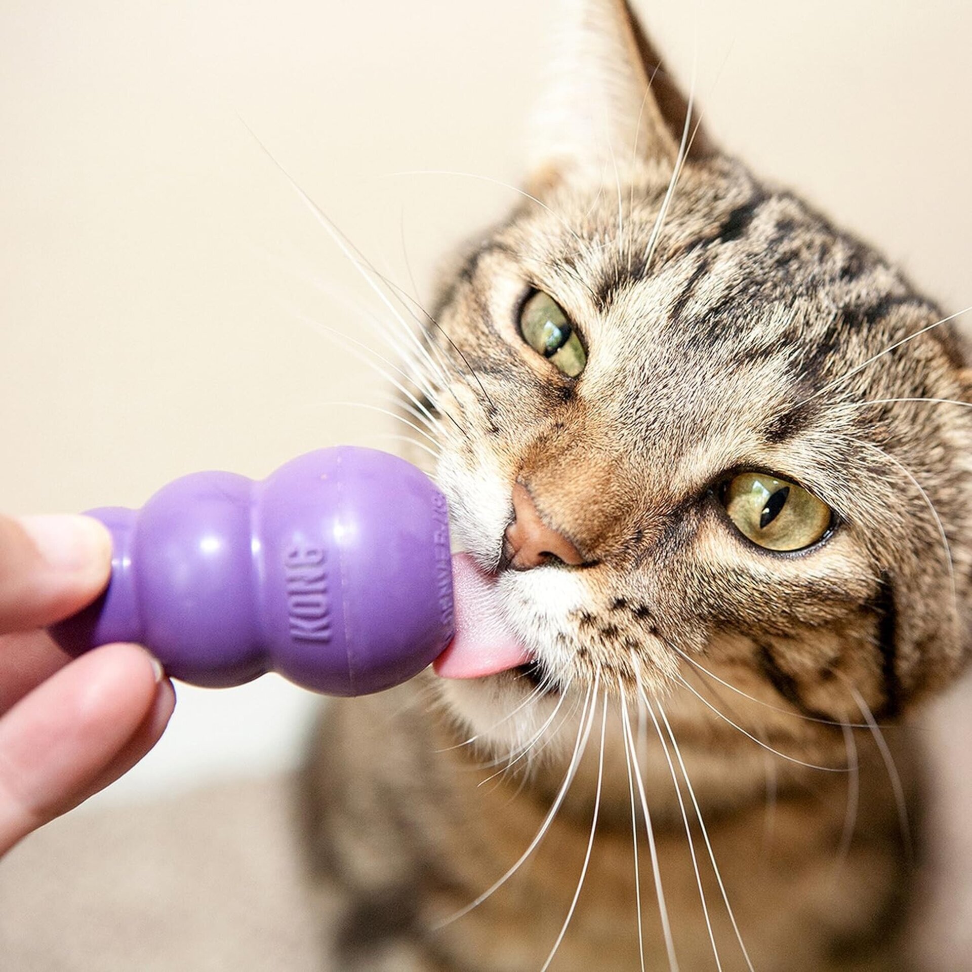 Kong Para Gatos Kitty - 6