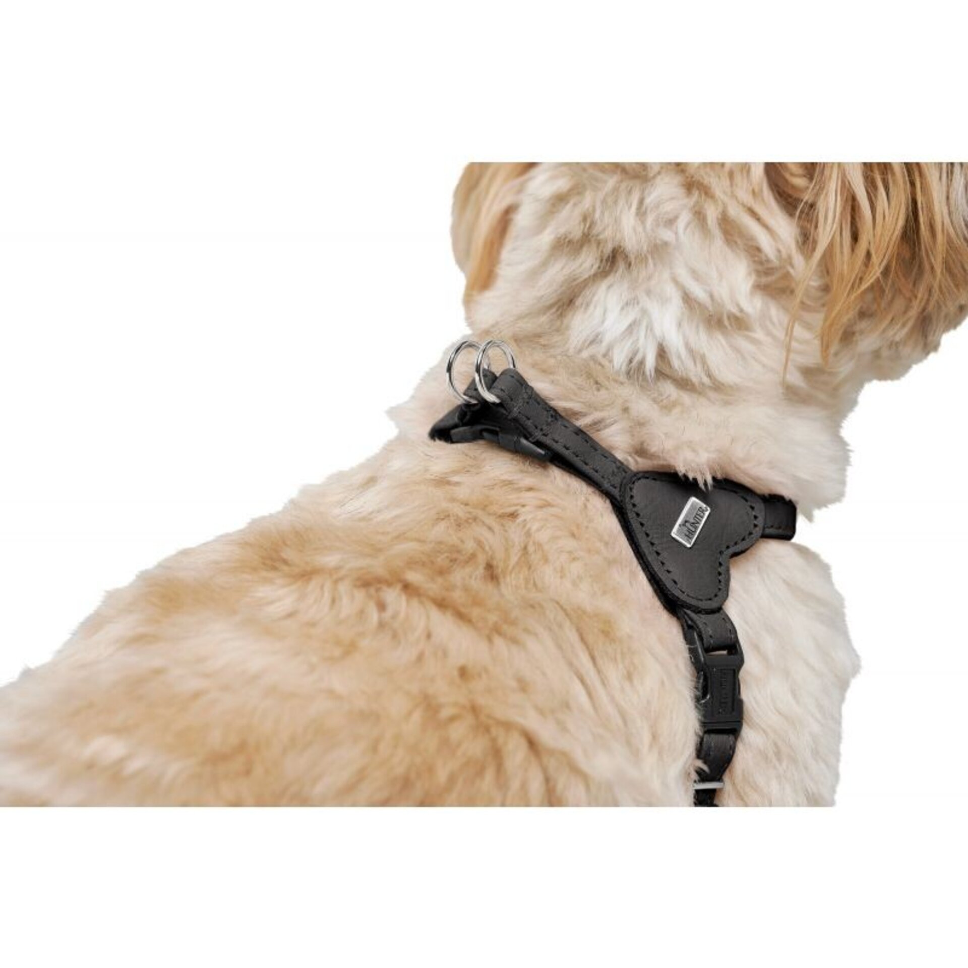 Arnes Soho Mini Hunter - 15