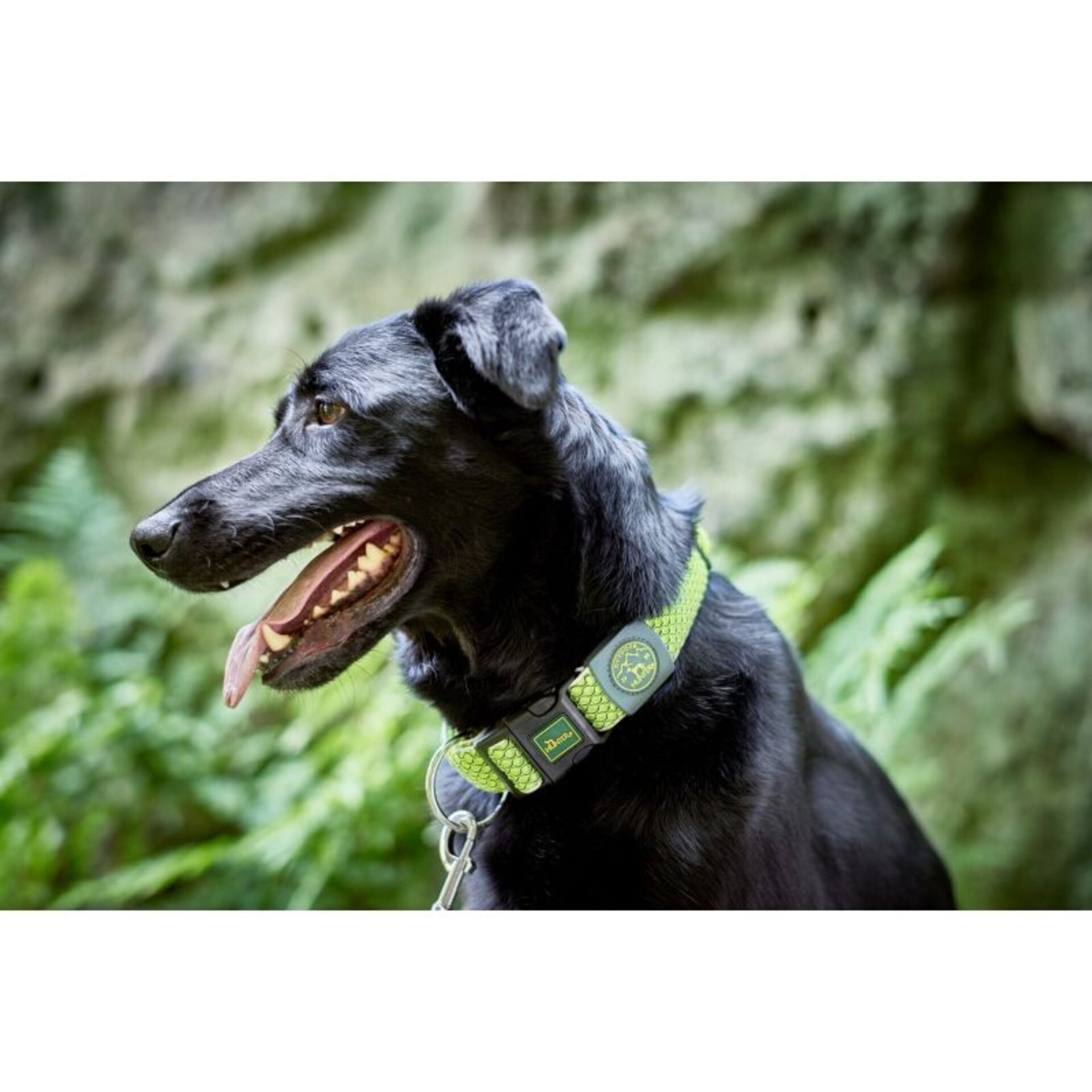 Collares Hilo Vario Plus Hunter - 1